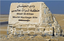 tour Image